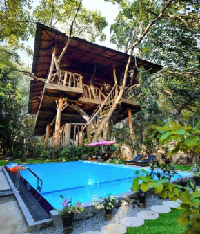 Lotus Eco Villa